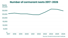 Line graph showing the number of cormorant nests in Finland from 2017 to 2026. The number remained at around 24,000–26,000 in 2017–2022, rose sharply in 2023–2024 to around 32,000, and declined to around 29,800 by 2026.