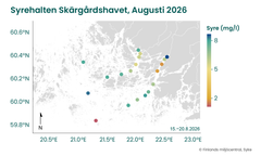 Syrehalten i det bottennära vattnet i Skärgårdshavet är i huvudsak bättre i den yttre skärgården än nära kusten. Den låga syrehalten vid den sydvästligaste observationsplatsen i den yttre skärgården beror sannolikt på syrefattigt vatten som strömmat från Östersjöns huvudbassäng.