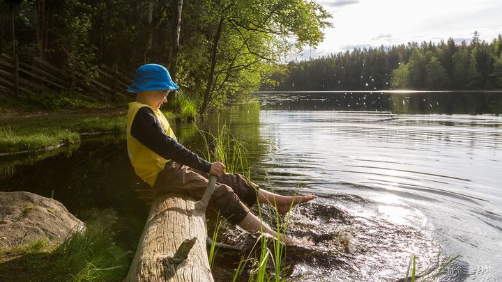 Lapsi polskii puunrungolla