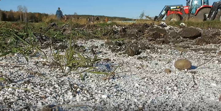 Close-up of gypsum granules on the surface of a field in Åland. Agricultural land and farm machinery used for gypsum spreading are visible in the background.