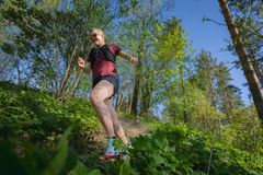Leveiden ulkoiluteiden lisäksi Helsingin Keskuspuistossa on paljon pieniä uria polkujuoksua varten.