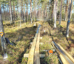 Kaarinanpolun pitkospuita peruskorjataan reitin pohjoisosassa vuoden 2025 aikana.