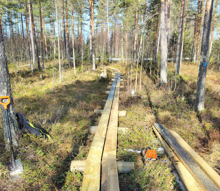 Kaarinanpolun pitkospuita peruskorjataan reitin pohjoisosassa vuoden 2025 aikana.