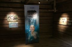 Tiina Pouanen, Empusat -teoskokonaisuus, tuloste (väripiirroksesta) kankaalle, tempera vanerille, 2025