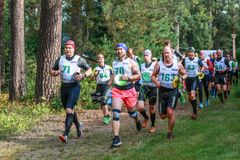 Punkaharju Swimrun ja Run Forest Run -polkujuoksu starttasivat samaan aikaan ja osittain samoille reiteille.