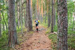Jättimäisten lehtikuusien lisäksi juoksureitillä on komeita mäntyjä, honkia ja petäjiä.