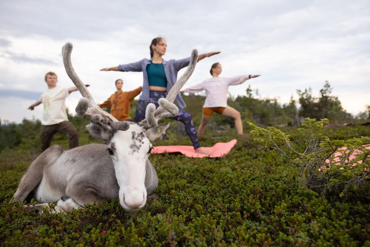 Kuvauksissa Vesku muun muassa söi, kuljeskeli metsässä, kiipesi tunturin päälle, oli mukana joogassa ja nautiskeli elämästään