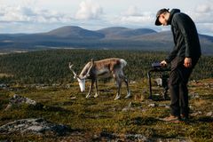 Kesällä 2023 Lapissa toteutettuihin kuvauksiin Vesku-poro osallistui omistajiensa kanssa.