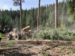 Forest management activities  in Washington State