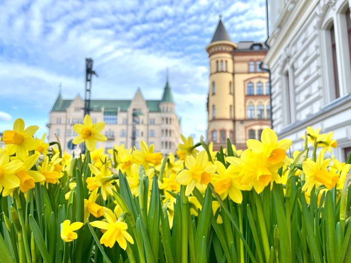 Ulkomaiset matkailijat tekevät parhaillaan kesälomatkojensa varauksia.