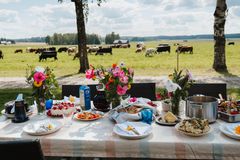Kuvassa katettu kesäinen ruokapöytä, taustalla maisema, jossa laiduntaa lehmiä.