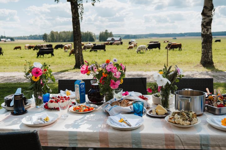 Kuvassa katettu kesäinen ruokapöytä, taustalla maisema, jossa laiduntaa lehmiä.