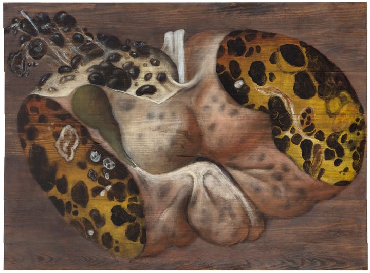 Magdalena Åberg, Elimiä 1 (Cirrhosis), 2019, öljy puulle, 89,5 x 122 cm, taiteilijan omistuksessa. Valokuva: Jussi Tiainen.