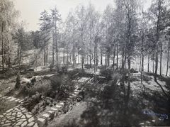 Villa Gyllenbergin puutarhan sunken garden huvilan kattoterassilta kuvattuna 1948. Puutarhan oli suunnitellut Paul Olsson. Valokuva: Fred Runeberg / Signe ja Ane Gyllenbergin säätiö.