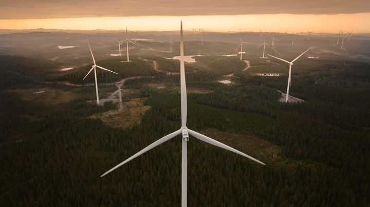 Ilmakuvassa tuulivoimapuisto.