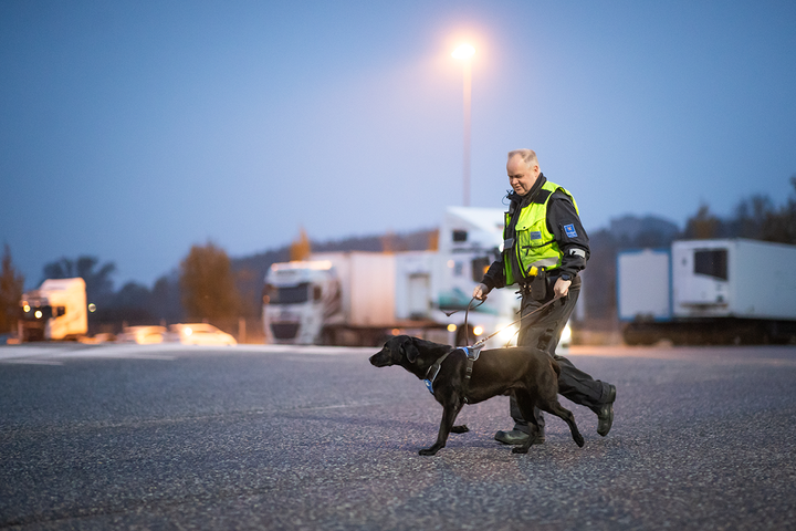 Tullikoira Pepi ja koiranohjaaja Mika Niemenmaa Turussa.