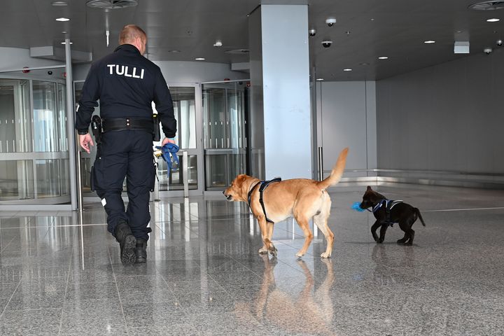 Tullitarkastaja%2C%20aikuinen%20tullikoira%20ja%20tullikoirakokelaspentu%20k%E4velev%E4t%20pois%20p%E4in%20kamerasta%20lentokent%E4n%20aulassa.