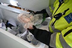 Tullivirkailija pitää käsissään muovipussiin pakattua lihaa pakastimen yllä.