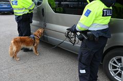 Tullikoiran kirsu kiinni autossa. Kuvassa myös kaksi tullitarkastajaa.