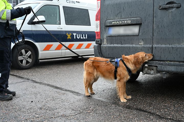 Koira valjaissa nuuskii pakettiauton takaosaa. Taustalla Tullin auto.