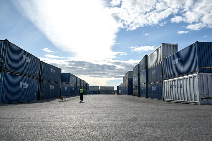 Henkilö koiran kanssa kävelee konttisatamassa aurinkoisena päivänä.