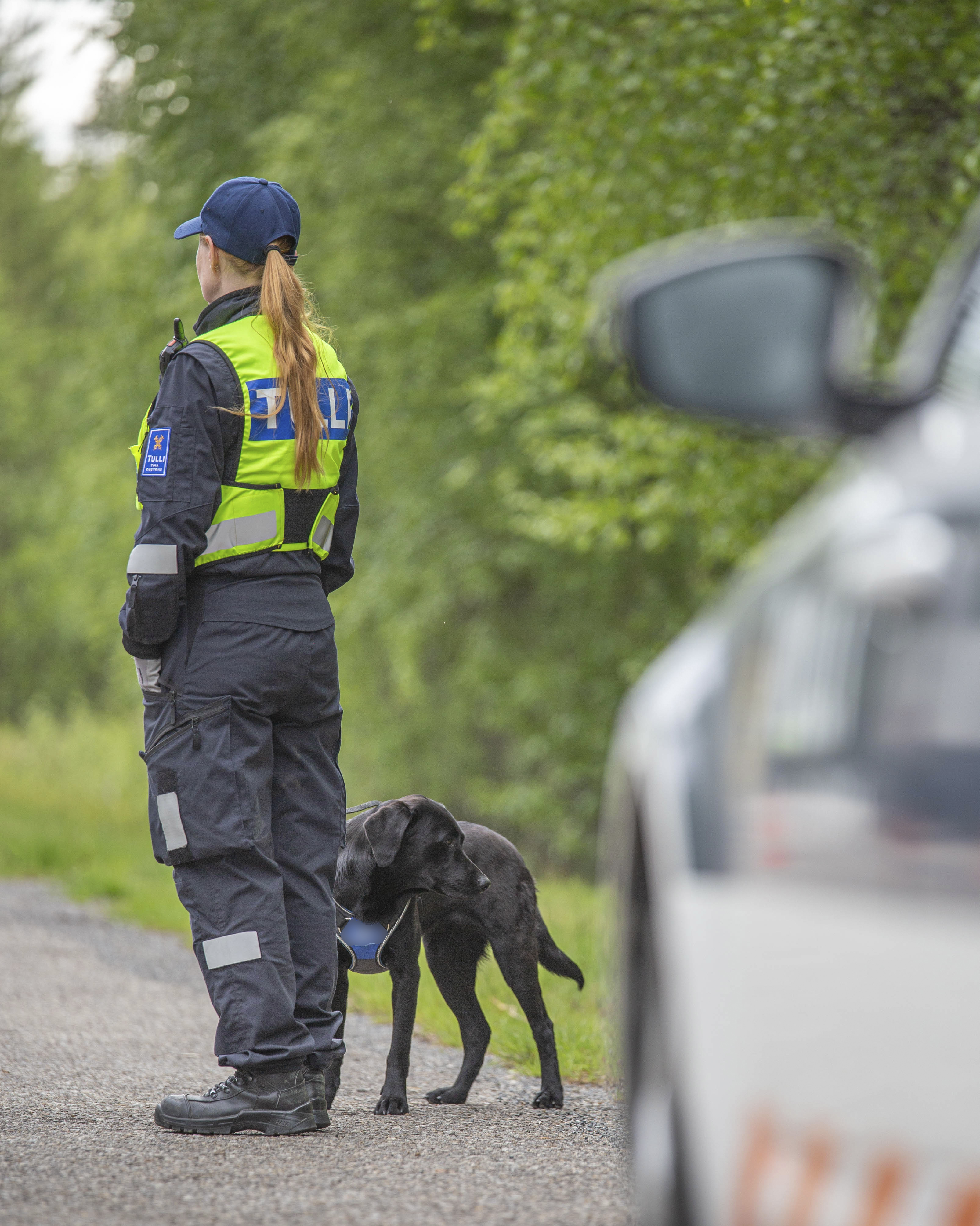 Tulli tehostaa uhanalaisten lajien valvontaa pohjoisilla rajanylityspaikoilla