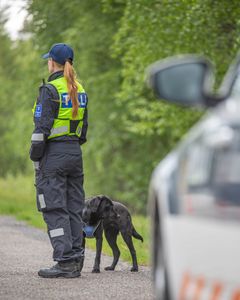 Tullin koiranohjaaja ja tullikoira. Tehostetun valvonnan PTR-operaatiosta Ivalossa kesäkuussa 2024. Arkistokuva.
