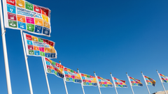 SDG Flag Day -lippu