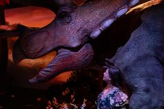Nainen seisoo valtavan, sarvellisen dinosauruksen mallin vieressä.