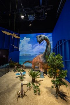 Dinosaurusnäyttely, jossa pitkäkaulainen dinosaurus seisoo hiekkamaisemassa.