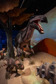 Näyttelyssä dinosaurusdioraama, jossa suuri petodinosaurus seisoo pienempien dinosaurusten ja aavikkomaiseman keskellä.