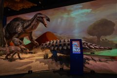 Dinosaurusnäyttelyssä suuri petodinosaurus ja panssaroitu dinosaurus.