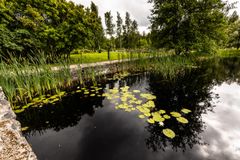 Edessä tummavetinen lampi, taustalla näkyy Kellonummen hautausmaan hautoja.