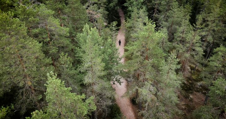 Ylhäältä päin kuvattu metsäpolku, jolla kulkee yksi henkilö.