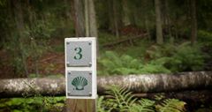 Kyltti, jossa on numero kolme ja simpukan kuva. Taustalla metsää.