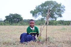 Catherin, 13, stands next to the mango tree she planted in October 2024 in Kilosa, Tanzania.