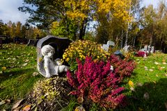 Ljungplanta och andra gula hötsliga färger på en gravvård.