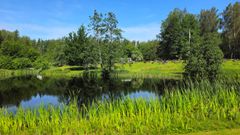 Hautausmaa ja lampi.