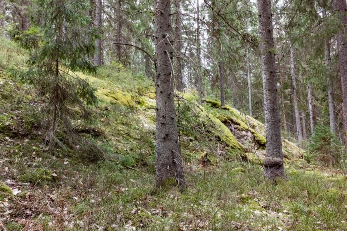 Kuva: Esko Jämsä / Kirkko ja kaupunki.