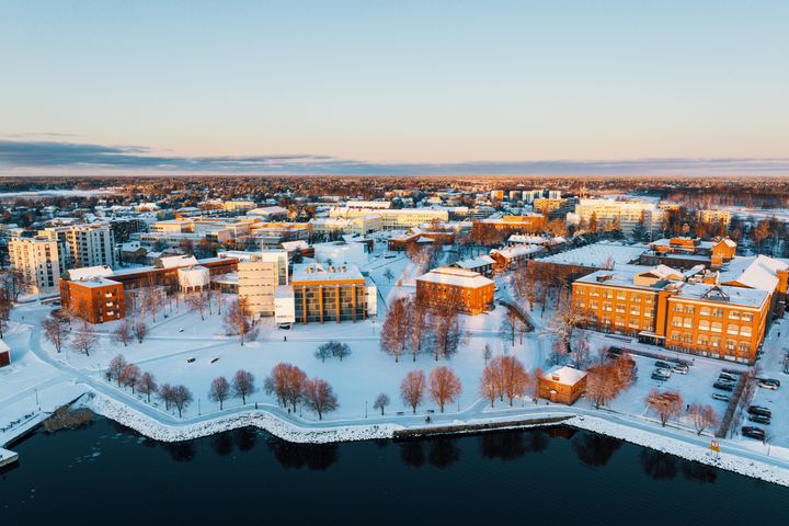 Talvinen ilmakuva Vaasan yliopiston kampuksesta. Lunta maassa. Kampuksen rakennuksia ja puita näkyy, ja etualalla on meri.