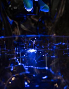 Laura Dahlberg, Abiotic Variebles, 2023 (detalj)