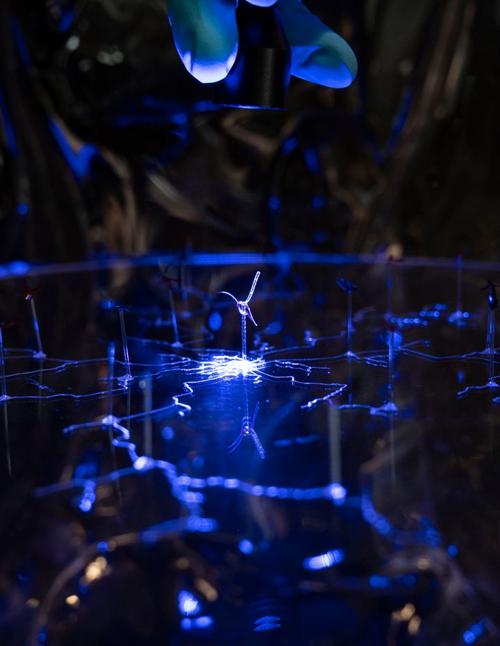 Laura Dahlberg, Abiotic Variebles, 2023 (detalj)