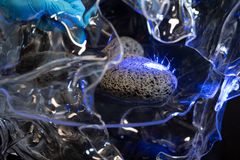 Laura Dahlberg, Abiotic Variebles, 2023 (detalj)