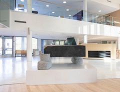 Ville Mäkikoskela: Luonto liikkuu, 2023 / © HAM/Kirsi Halkola