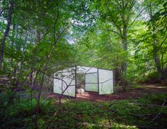 Alma Heikkilä: coadapted with (sopeutua yhdessä), 2023