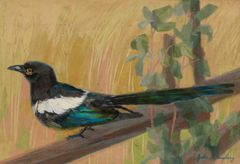 Gabriel Engberg: Magpie (undated). HAM Helsinki Art Museum. Photo: Sonja Hyytiäinen.