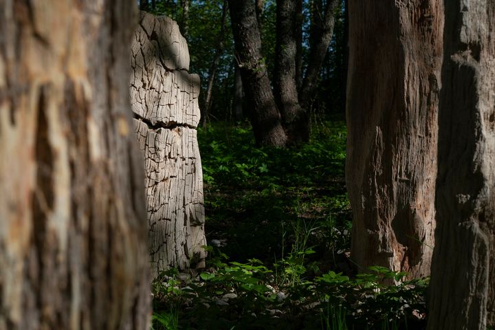 Hans Rosenström: Ajan aallot (yksityiskohta), 2025. Helsinki Biennaali 8.6.–21.9.2025. Kuva: HAM / Helsinki Biennaali / Sonja Hyytiäinen.