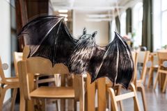 Emmi Jormalainen: Synlig, gömd, 2025. Daghemmet Första linjen 1. Foto: HAM/Maija Toivanen