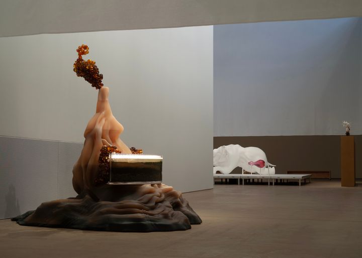 Marguerite%20Humeau%3A%20Soihdut.%20HAM%20Helsingin%20taidemuseo%2C%202025.%20%A9%20Marguerite%20Humeau.%20Kuva%3A%20Julia%20Andr%E9one.%20Taiteilijan%20luvalla.