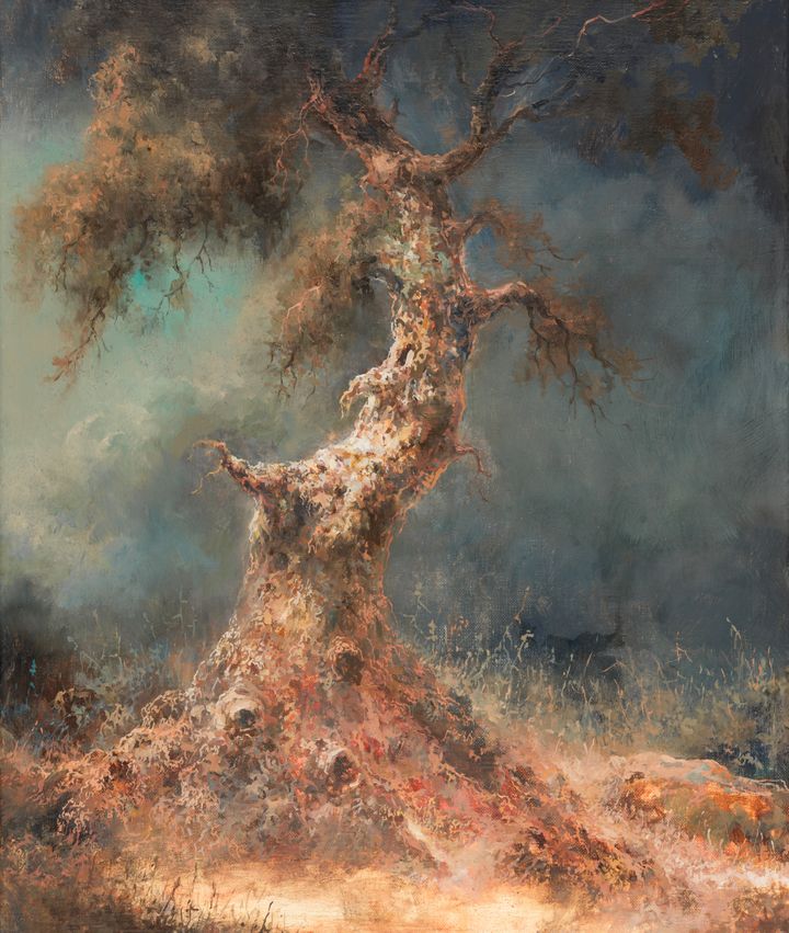 Petri Ala-Maunus: Valaistu puu, 2025. Taiteilijan omistuksessa. Kuva: HAM / Maija Toivanen.